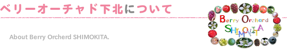 ベリオーチャドしもきたの取り組みなどのご紹介